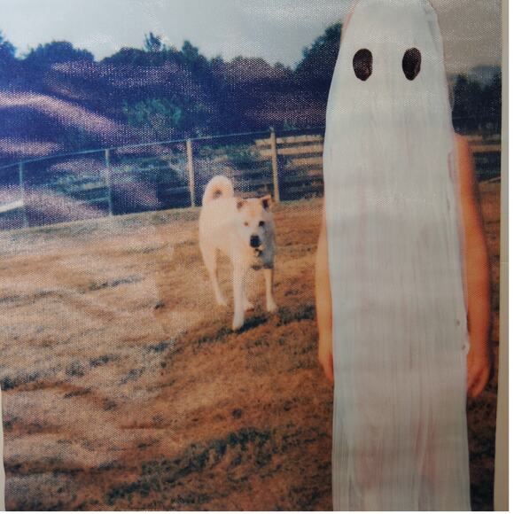 Phoebe Bridgers – Stranger in the Alps Canvas Print (12x18", Unframed Indie Art) - Picture 3 of 4